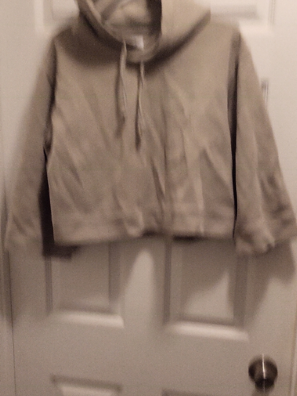 Oat New York Neutral Beige Cropped Hoodie